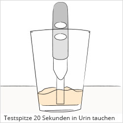 Schwangerschaftstest: Durchführung Schritt 2