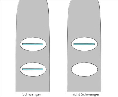 Schwangerschaftstest-Ergebnis