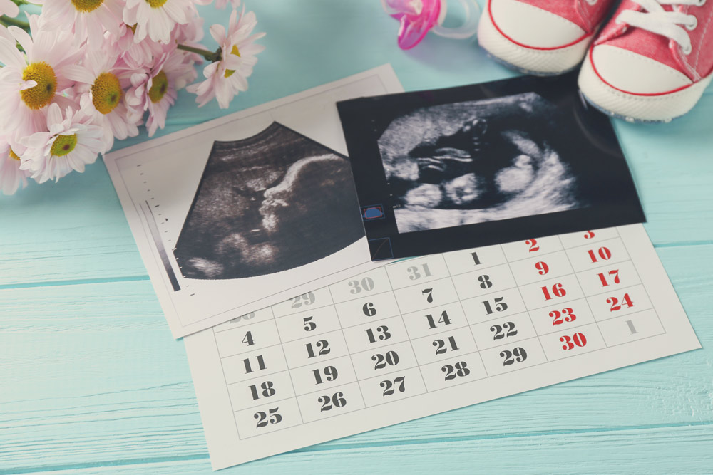 Calendario de embarazos